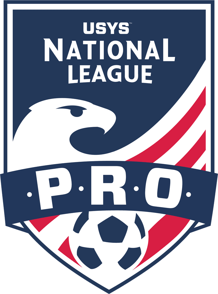 Professional Soccer Leagues